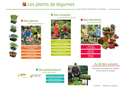 Page d'accueil du site plantsdelegumes.org