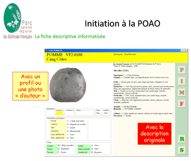 Document d'initiation à la pomologie